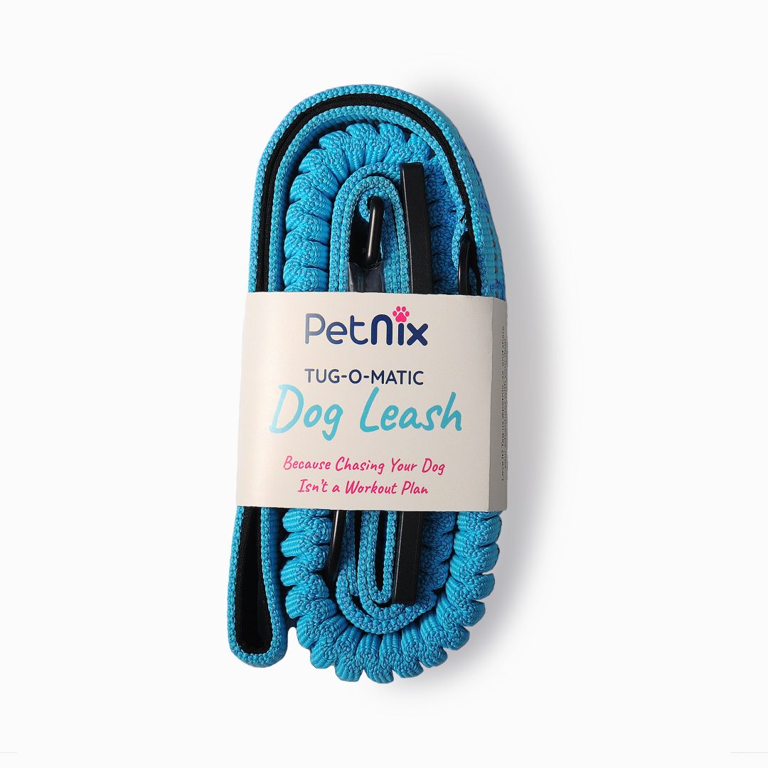 Petnix Shoot_27092025_003