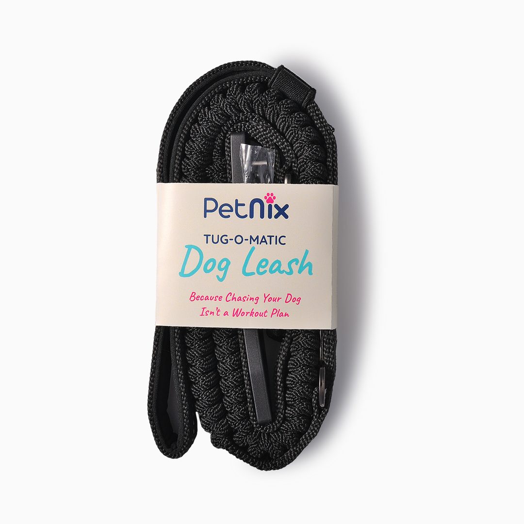 Petnix Shoot_27092025_004