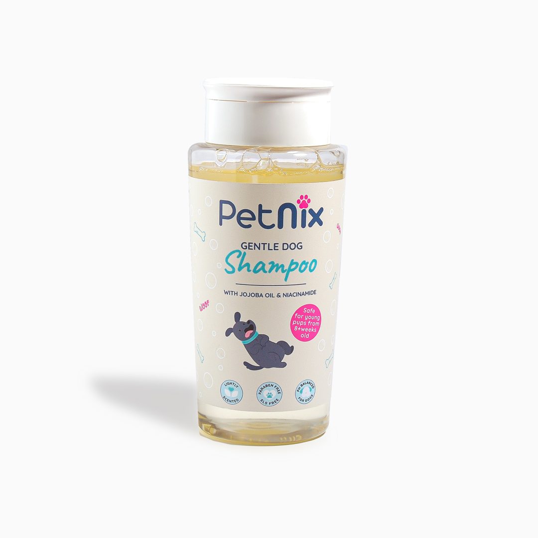 Petnix Shoot_27092025_014